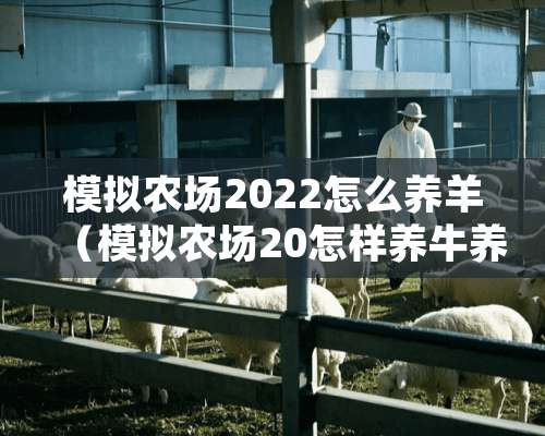 模拟农场2022怎么养羊（模拟农场20怎样养牛养羊视频）