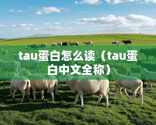 tau蛋白怎么读（tau蛋白中文全称）