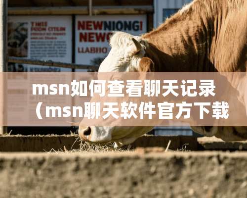 msn如何查看聊天记录（msn聊天软件官方下载）