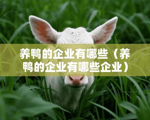 养鸭的企业有哪些（养鸭的企业有哪些企业）