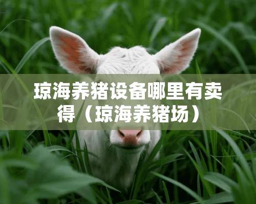 琼海养猪设备哪里有卖得（琼海养猪场）