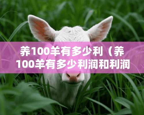 养100羊有多少利（养100羊有多少利润和利润）