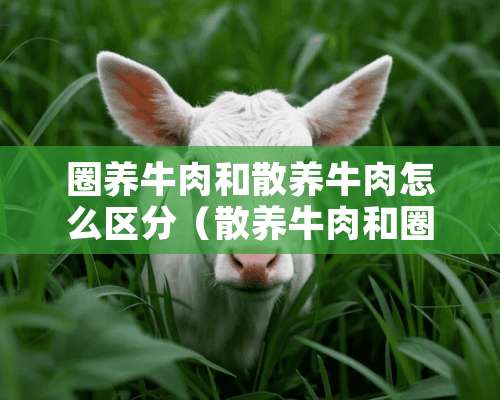 圈养牛肉和散养牛肉怎么区分（散养牛肉和圈养牛肉哪个好吃些）