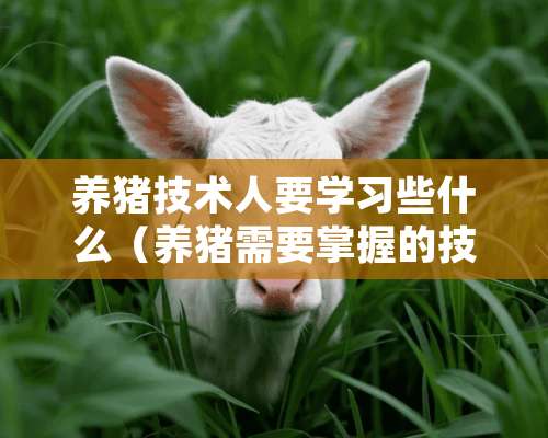 养猪技术人要学习些什么（养猪需要掌握的技能）