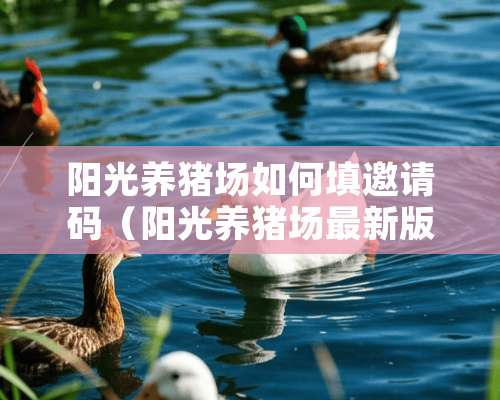 阳光养猪场如何填邀请码（阳光养猪场最新版本邀请码）