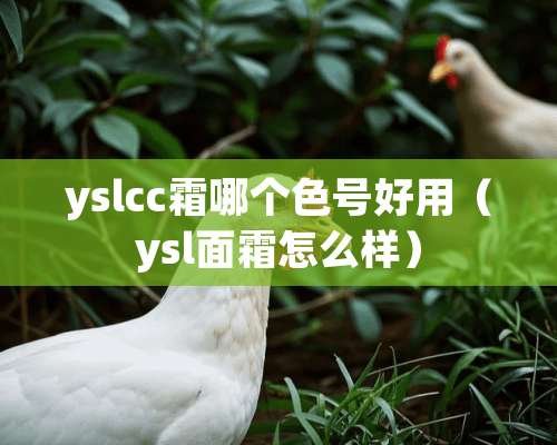 yslcc霜哪个色号好用（ysl面霜怎么样）