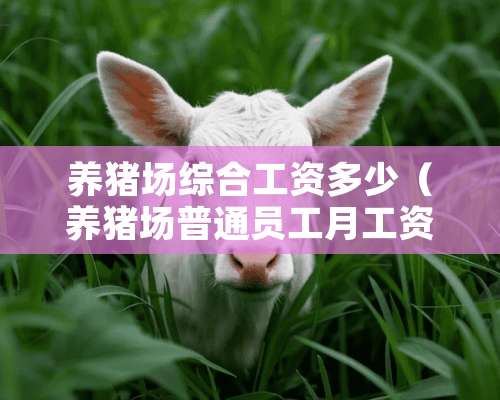 养猪场综合工资多少（养猪场普通员工月工资）