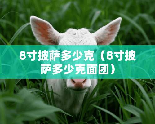 8寸披萨多少克（8寸披萨多少克面团）