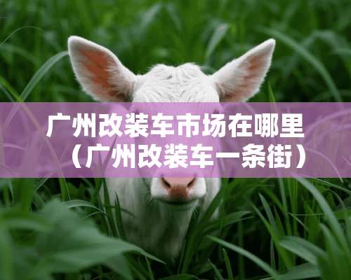 广州改装车市场在哪里（广州改装车一条街）