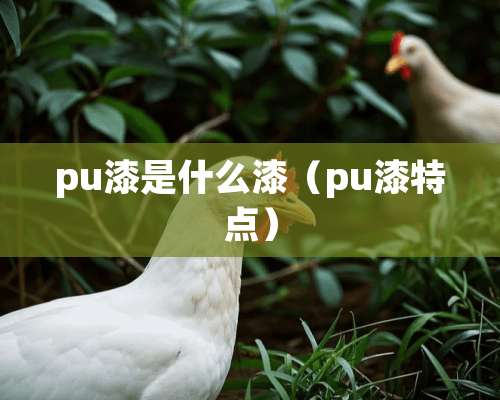 pu漆是什么漆（pu漆特点）