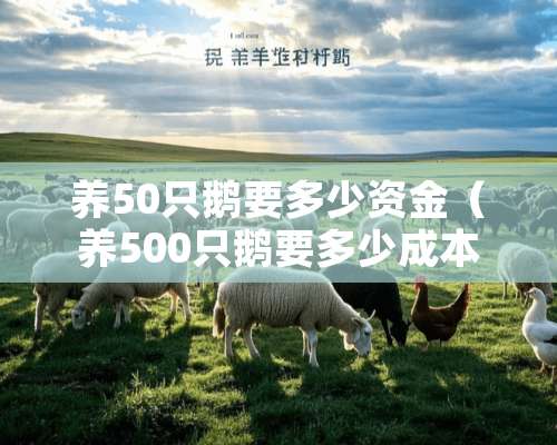 养50只鹅要多少资金（养500只鹅要多少成本）