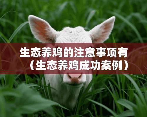 生态养鸡的注意事项有（生态养鸡成功案例）