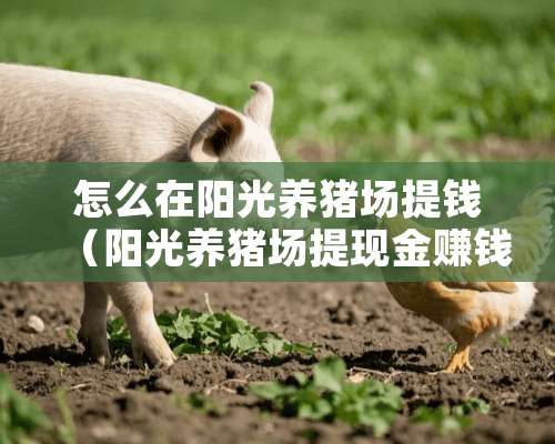 怎么在阳光养猪场提钱（阳光养猪场提现金赚钱）