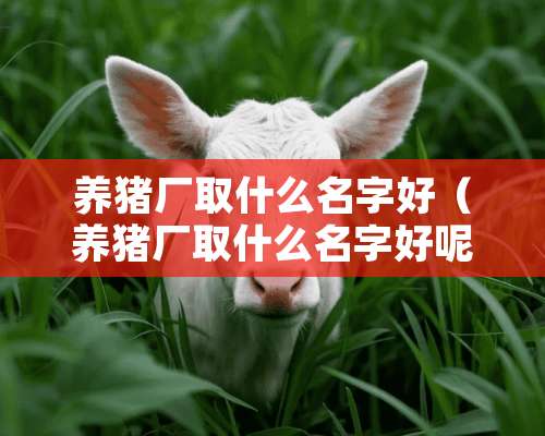 养猪厂取什么名字好（养猪厂取什么名字好呢）