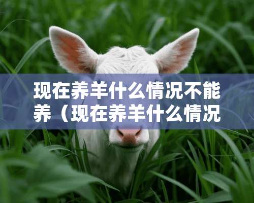 现在养羊什么情况不能养（现在养羊什么情况不能养了）