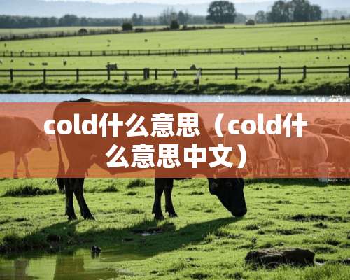 cold什么意思（cold什么意思中文）