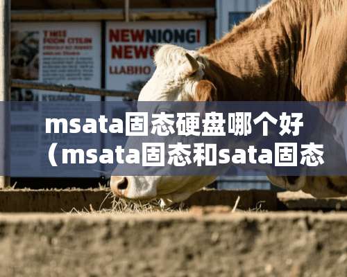 msata固态硬盘哪个好（msata固态和sata固态哪个好）