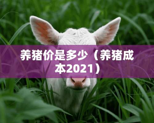 养猪价是多少（养猪成本2021）