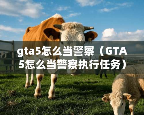 gta5怎么当**（GTA5怎么当**执行任务）