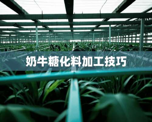 奶牛糖化料加工技巧