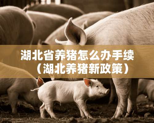 湖北省养猪怎么办手续（湖北养猪新政策）