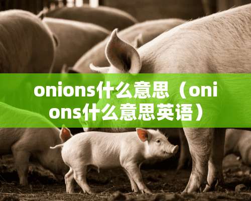 onions什么意思（onions什么意思英语）