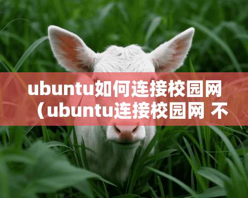 ubuntu如何连接校园网（ubuntu连接校园网 不认证）