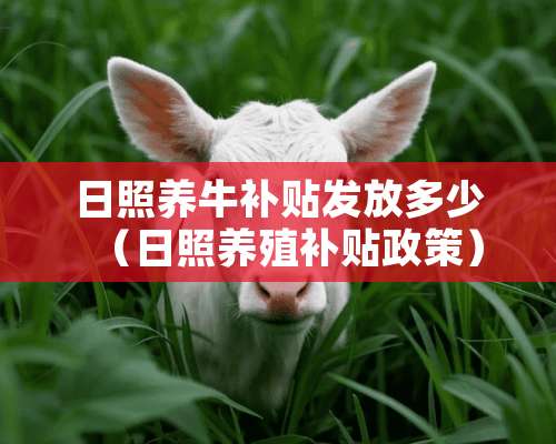 日照养牛补贴发放多少（日照养殖补贴政策）