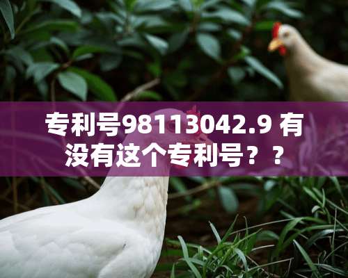 专利号98113042.9 有没有这个专利号？？