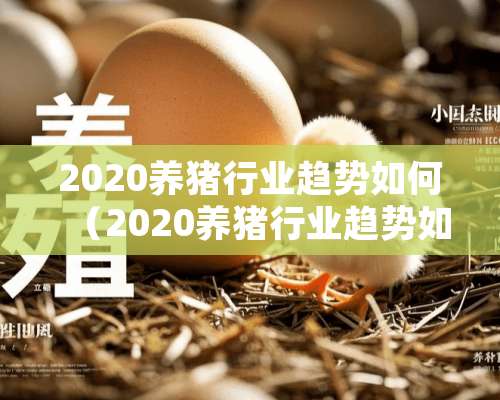 2020养猪行业趋势如何（2020养猪行业趋势如何呢）