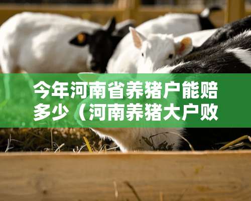 今年河南省养猪户能赔多少（河南养猪大户败局已定）