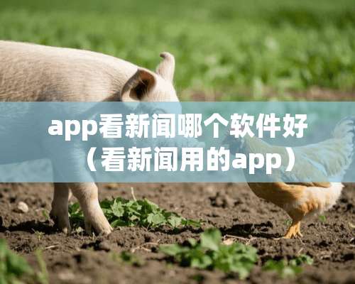 app看新闻哪个软件好（看新闻用的app）