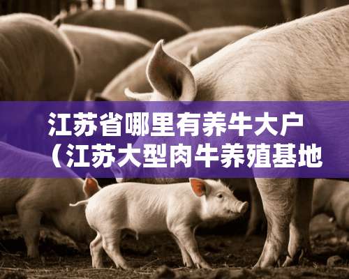 江苏省哪里有养牛大户（江苏大型肉牛养殖基地）