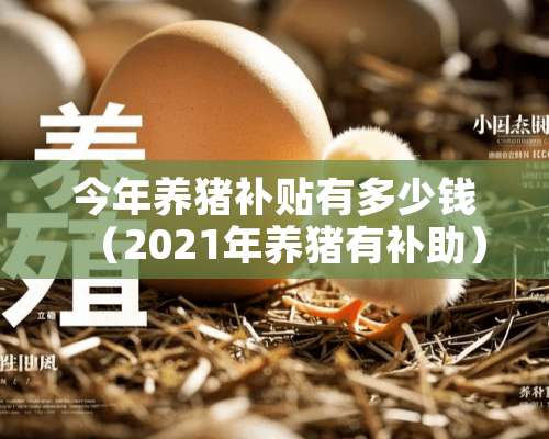 今年养猪补贴有多少钱（2021年养猪有补助）