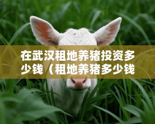 在武汉租地养猪投资多少钱（租地养猪多少钱一亩）