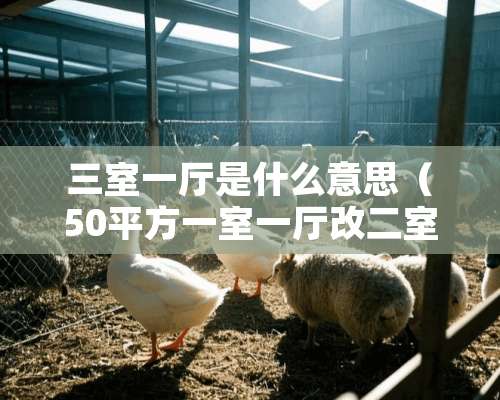 三室一厅是什么意思（50平方一室一厅改二室一厅）