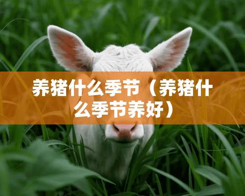 养猪什么季节（养猪什么季节养好）