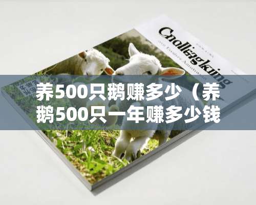 养500只鹅赚多少（养鹅500只一年赚多少钱）