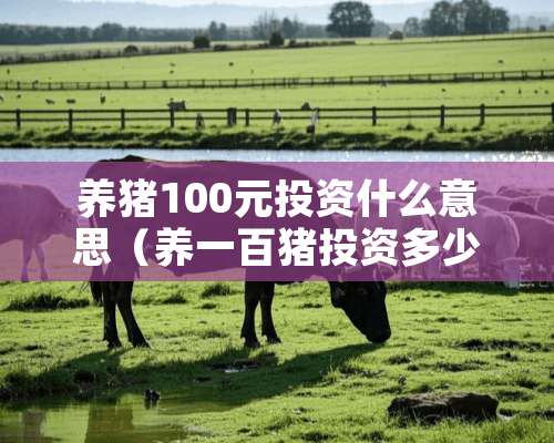 养猪100元投资什么意思（养一百猪投资多少）