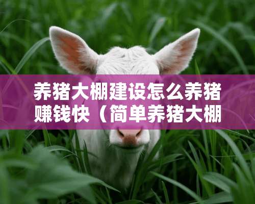 养猪大棚建设怎么养猪赚钱快（简单养猪大棚）