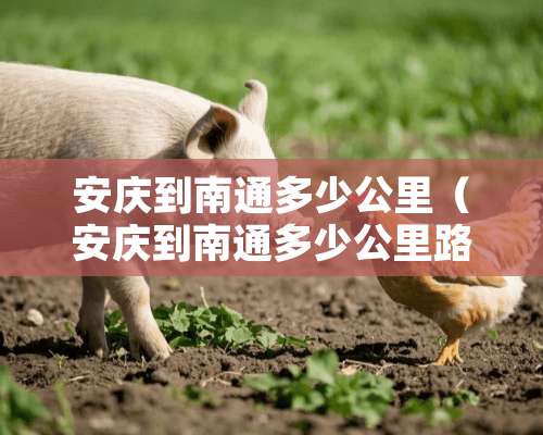 安庆到南通多少公里（安庆到南通多少公里路）