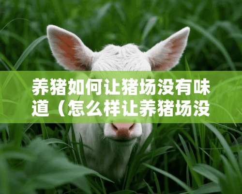 养猪如何让猪场没有味道（怎么样让养猪场没有臭味）