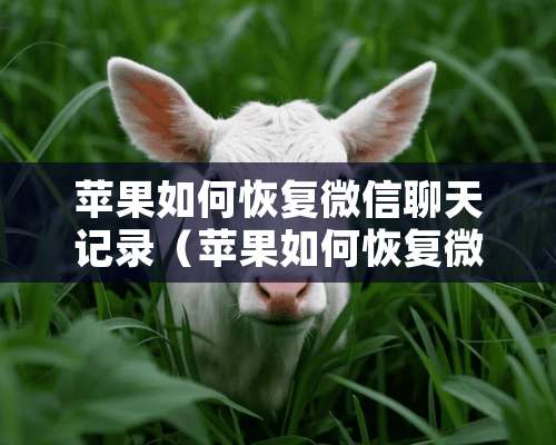 苹果如何恢复微信聊天记录（苹果如何恢复微信聊天记录小技巧）