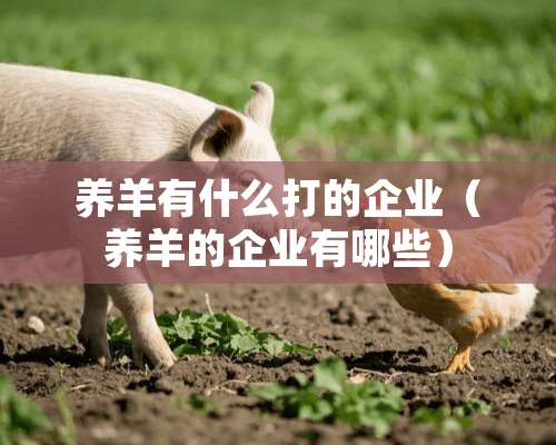 养羊有什么打的企业（养羊的企业有哪些）