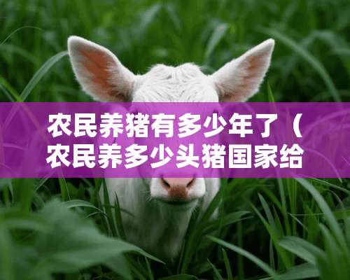 农民养猪有多少年了（农民养多少头猪国家给补贴）