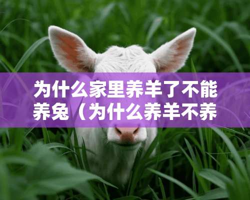 为什么家里养羊了不能养兔（为什么养羊不养鹿）