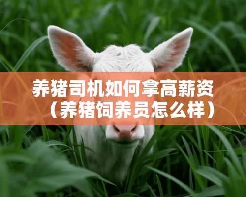 养猪司机如何拿高薪资（养猪饲养员怎么样）