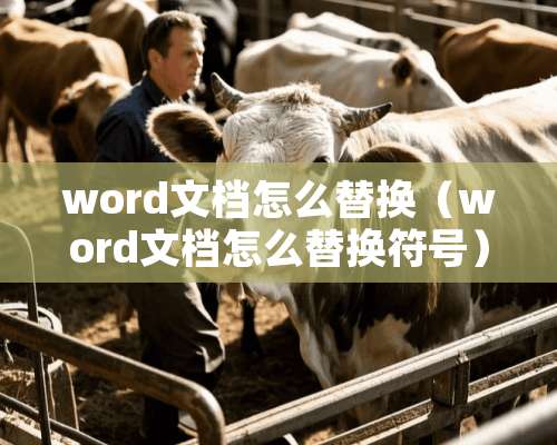 word文档怎么替换（word文档怎么替换符号）