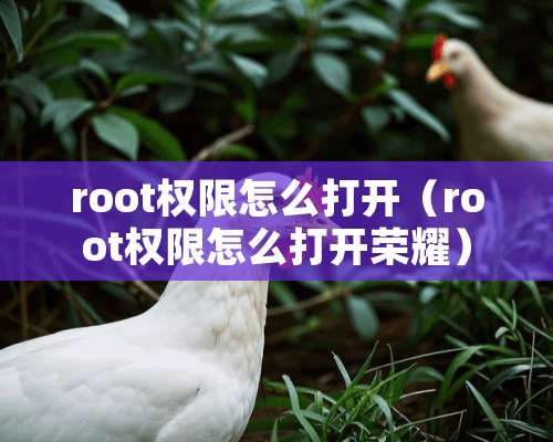 root权限怎么打开（root权限怎么打开荣耀）