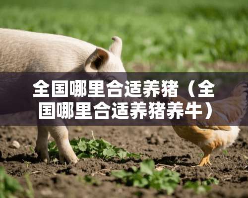 全国哪里合适养猪（全国哪里合适养猪养牛）